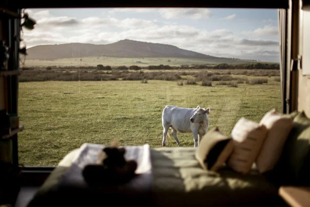 Giving Back to the Track