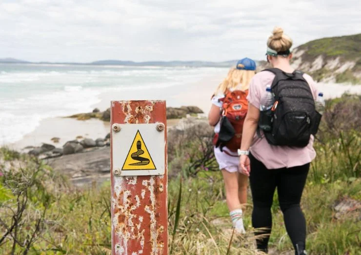 What is the Longest Walking Trail in Western Australia? A Guide to the Bibbulmun Track