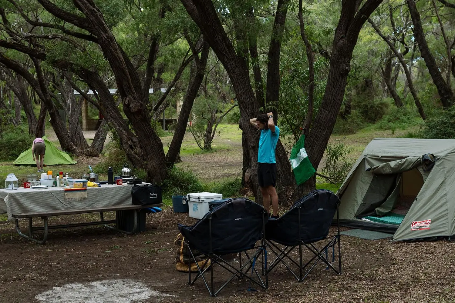 Conto Campground at Boranup Forest