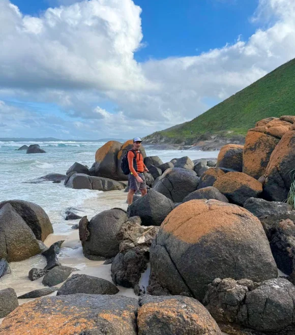 what our clients say about us