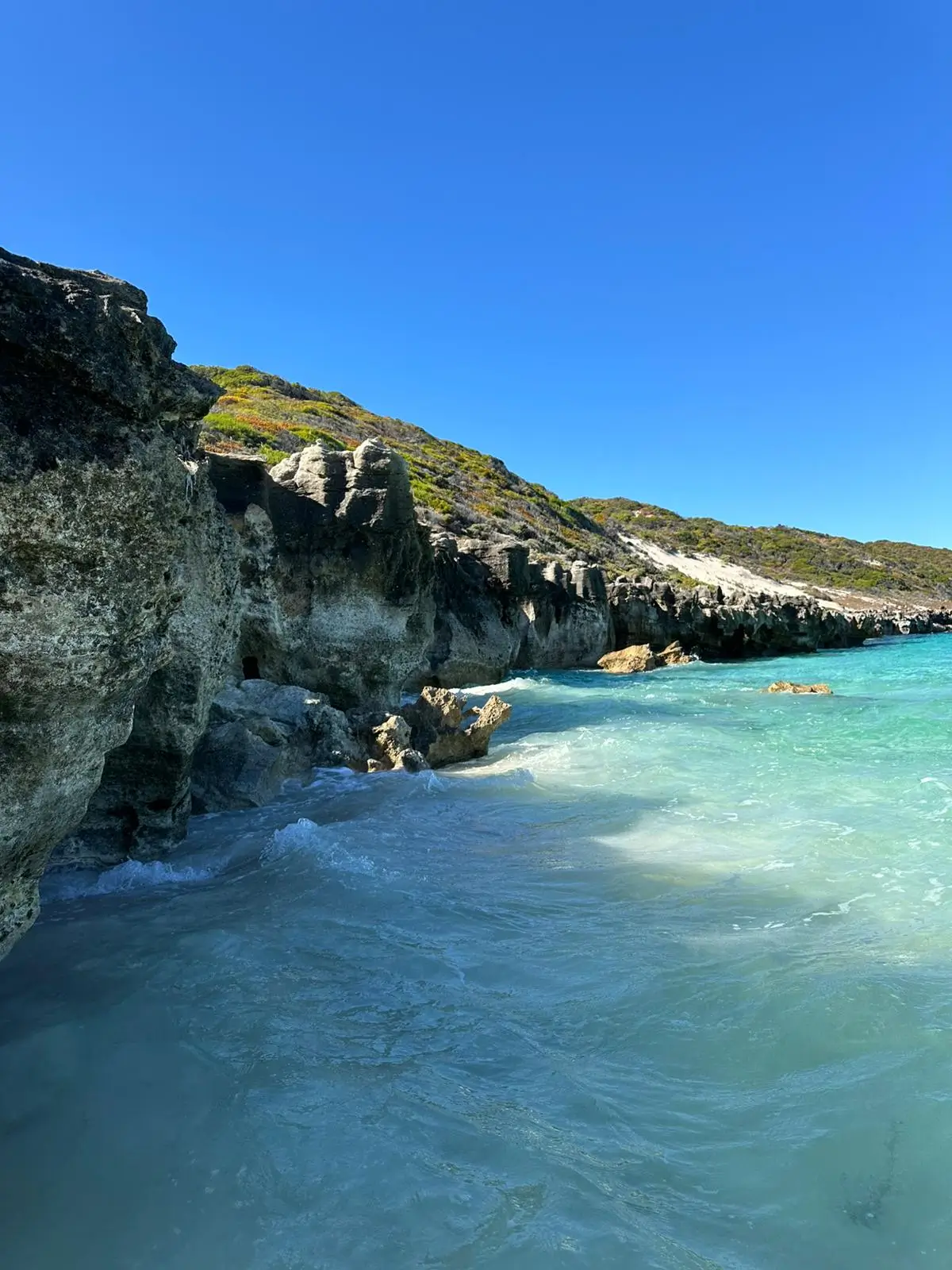 Cosy Corner to Blowholes Loop