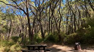 Boranup Campground – Forest Escape