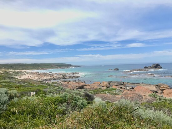 Conto Campground – Forest and Coastal Views Margaret River camping sites