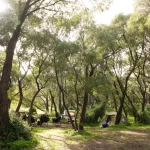 Margaret River Camping Sites That Pair Well with Short Day Hikes