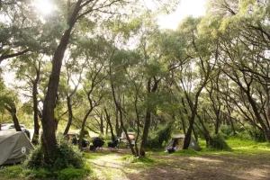 Margaret River Camping Sites That Pair Well with Short Day Hikes