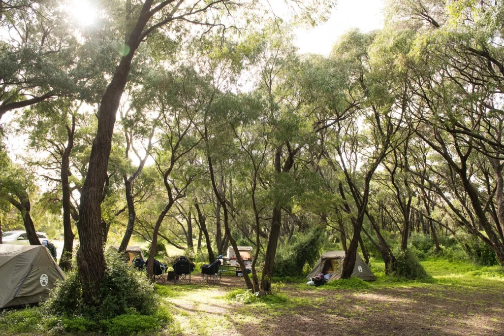Margaret River Camping Sites That Pair Well with Short Day Hikes